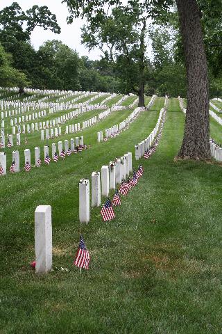 http://fourfreedomsblog.com/uploads/Arlington_Markers.jpg